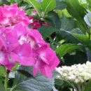 순천희망병원 이미지