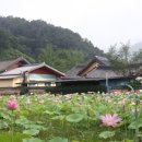 동림청과