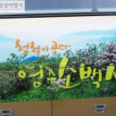 새천년여행사 네이버블로그