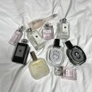 진저로지스 이미지