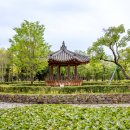 유당공원 Daum카페