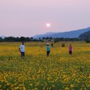 구미강정 이미지