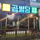 신안곱창전골 | 별내 한우곱창전골 맛집 [ 곱별당 ] 진짜맛집 후기