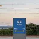 묵호] 묵호 당일치기용 식당 + 소품샵 추천 (옥이네분식, 103LAB, 미유키, 거동탕수육, 묘한동해, 청년...