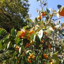 서동민박 이미지