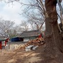 세경마을회관 이미지