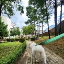 주식회사 페페 | 페페 앱스퍼 터치 에어탱크 마지막 일곱번째 후기