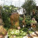 대신 문화 이미지