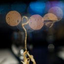 프리바다 이미지