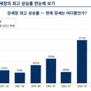 블랙스완마켓 | 미국 증시는 아직 강세장 중반일까? 향후 12~24개월 시나리오 점검