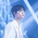 라이언하트 이미지