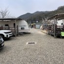 구미 낚시캠핑장 산호야관광농원 1박