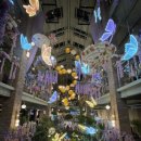 유량로 | 천안 유량동 중식당 중원 코스요리 내돈내산 솔직후기 (천안 단체모임, 룸식당, 주차편한 곳)