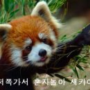 오꾸닭 이미지