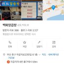 에이6양곱창 | 부산여행 :: 자갈치시장 백화양곱창 6호 | 평일 점심 방문 후기