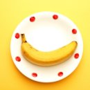 바나나 동물병원 이미지