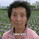 신매3리 이미지