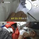 수선의달인 - 남양주시 호평로45번길 23 | 수선의달인