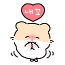분당화방문구 이미지
