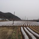 은형농장 이미지