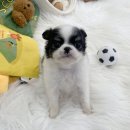강서메디칼서비스 이미지