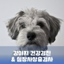 과천우주동물병원 이미지