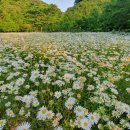 천로역정, 존 번연 / 미소, 김일연목사 이미지