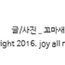 굿포데이
