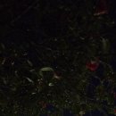 천지연 크리스탈호텔 이미지