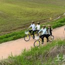 자전거대통령 이미지