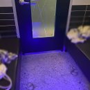 B1 코인 노래연습장 이미지