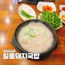 구리로 | { 대구 학정동 맛집 } 배고플때 가기 좋고 주차 걱정 없는 일품돼지국밥 학정점 내돈내산 솔직후기