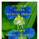 샬롬(Shalom) 이미지