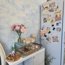 강릉 남문동 스위트페스타 케이터링 주문 내돈내산 후기
