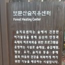 보문산 둘레길 이미지