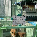 디벨롭커피로스터스