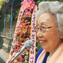 스무고개 Daum카페