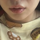 주식회사 창정보통신 | 헤르페스 영양제 추천 [라이신 비타민B 엘리신 L LYSINE 뷰티슬립 120정]