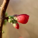 주사무소 이미지