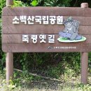 죽령 옛길과 무섬마을 여행