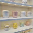 리멤버 | 용인 리멤버 반려견 장례식장 후기 - 우리 콩이와의 마지막 인사 😢