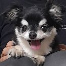 참맛한식 이미지