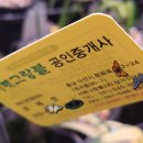 명함동산