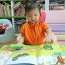 꼭꼭 숨어라 동물들아 이미지