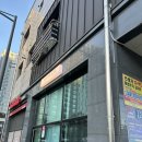 [인천 연수구] 연수구 ‘워크룸바이리’ 강아지 사진 촬영 후기 | 동춘동 사진관 추천