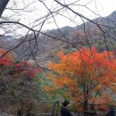 지리산역사관 이미지