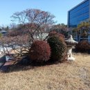 유앤아이공인중개사사무소 이미지
