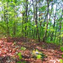 밤원주유소 이미지