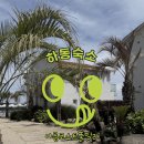 아룬코스트 이미지