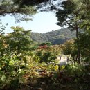 호암가든 이미지